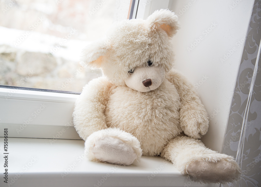 Teddy bear