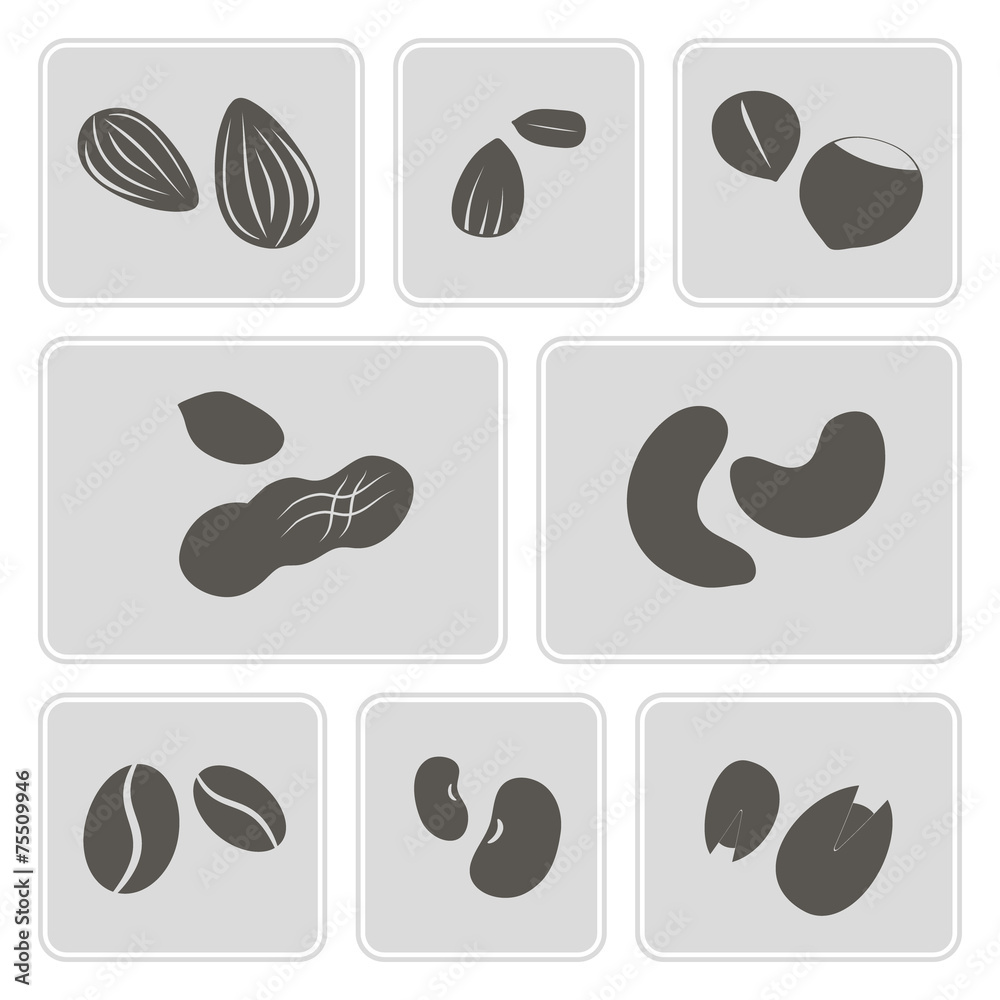 set of monochrome icons with beans and nuts for your design