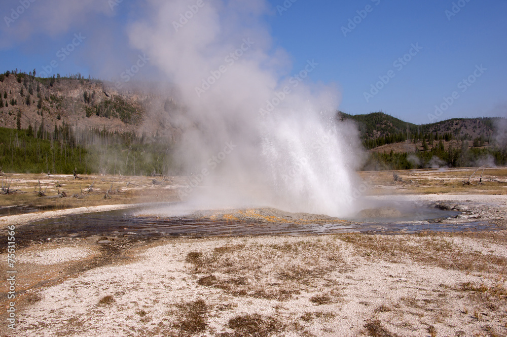 Yellowstone Nationalpark, Utah, USA Yellowstone Nationalpark, Utah, USA