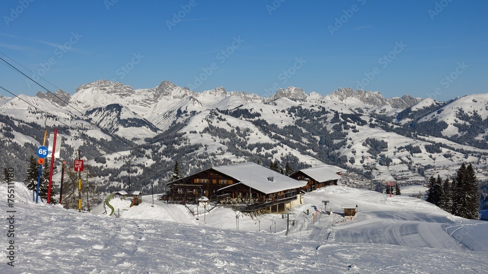 View from the Wispile ski area in  Gstaad