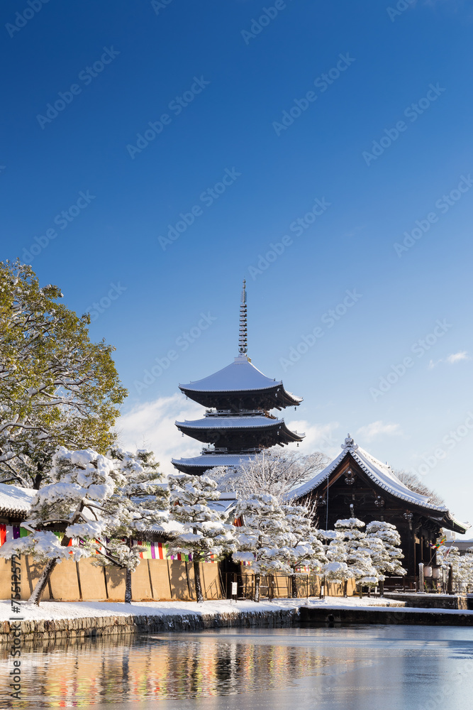 Fototapeta premium 東寺の五重塔