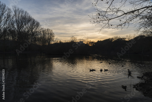 sunset on the lake