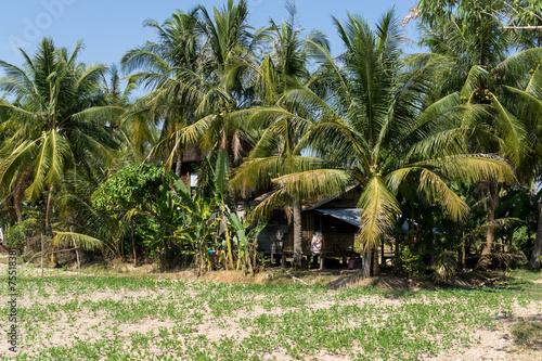 Cambodian farm