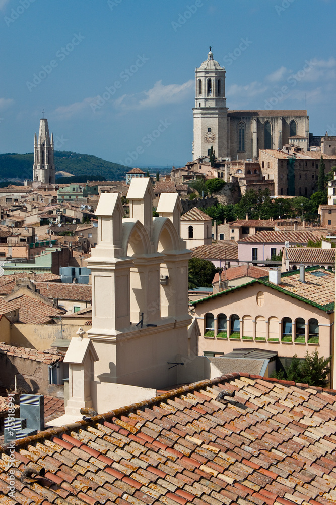 Roofs of Girona with cathedral