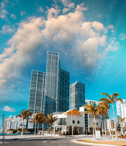 Sunny roads of Miami, Florida, USA © jovannig