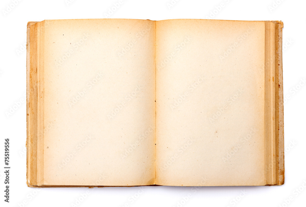 Fototapeta premium Old book with yellowed pages