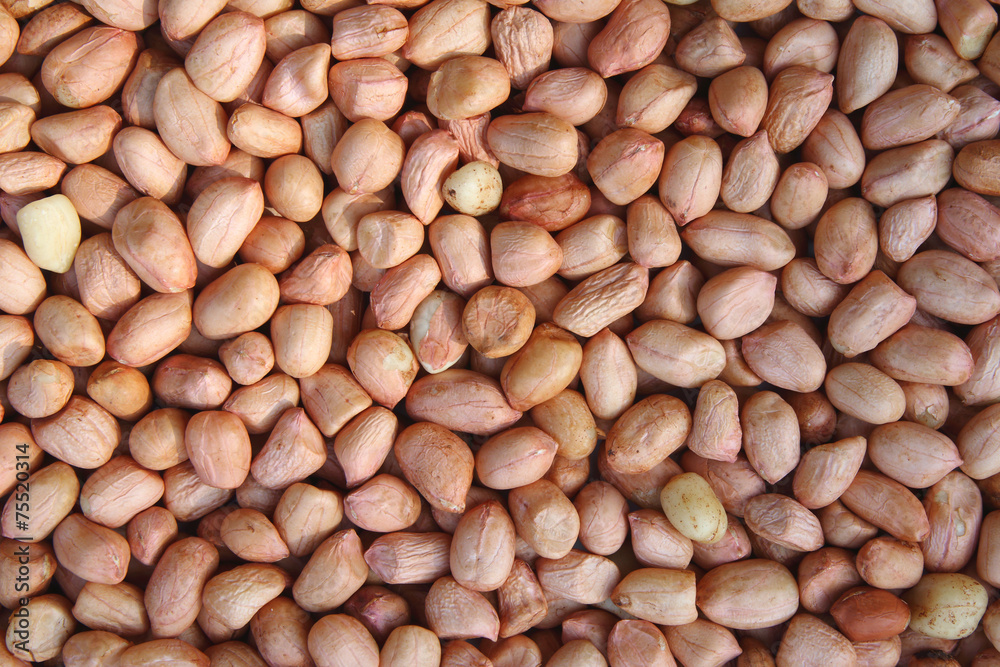 peeled peanut peeled peanut