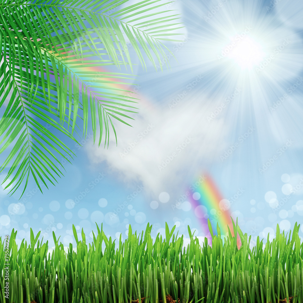 Obraz premium natural green background with selective focus