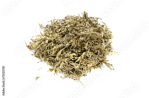 dried sagebrush absinthe wormwood medical herbs isolated