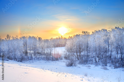 winter rural landscape with a sunset in the forest