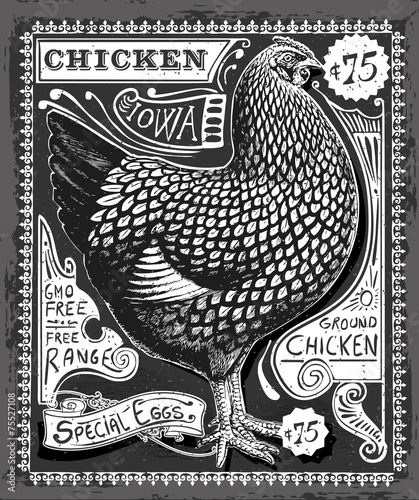 Rooster Vintage Vector Chicken Poultry Blackboard Detailed Illustration Eggs Advertising
