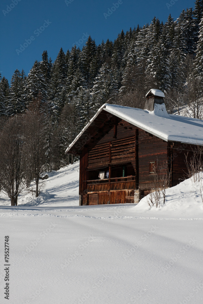 Chalet aux Confins