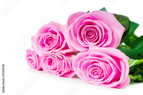 bouquet of pink roses isolated on white