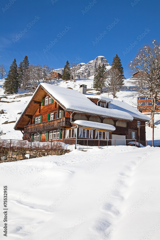 Winter in alps