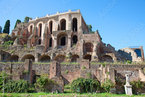 Ruins of the forum