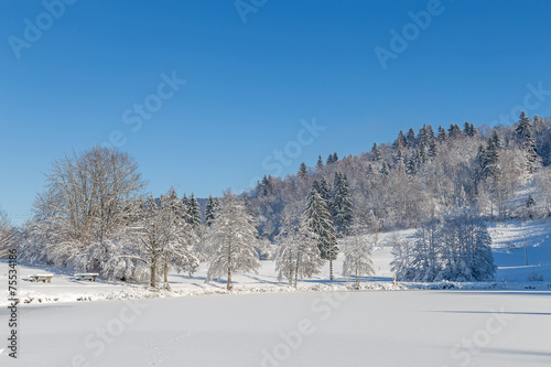 Wallpaper Mural paysage hivernal des Vosges Torontodigital.ca