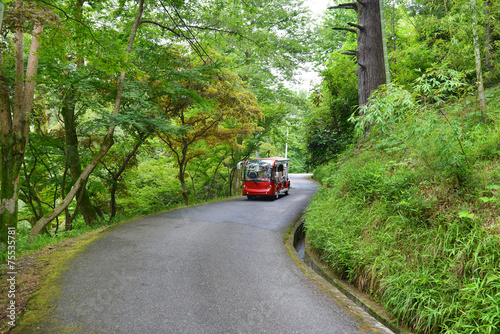 bus with tourists excursion in botanical garden Georgia Batumi