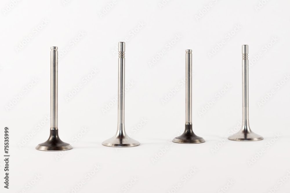 the inlet valves of the combustion engine the inlet valves of the combustion engine