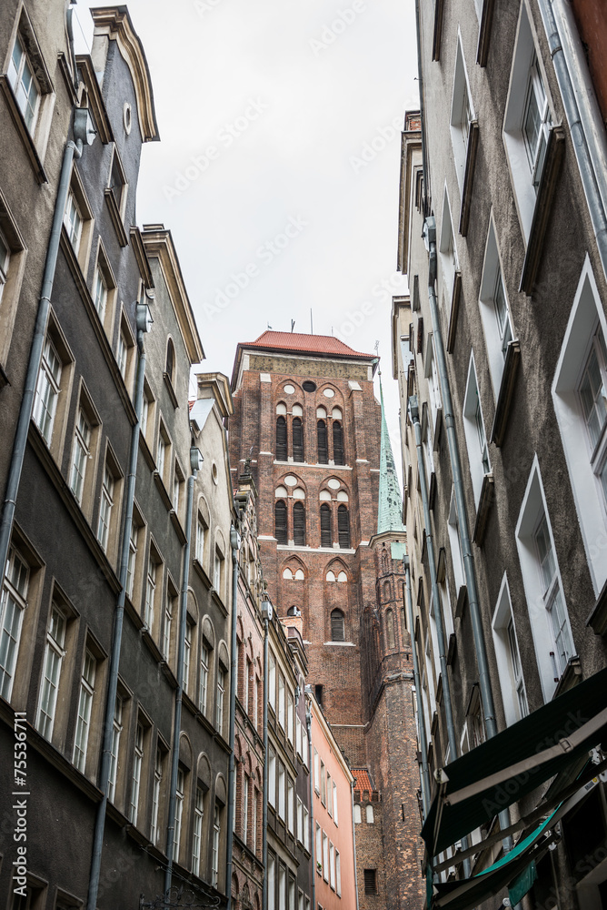 Obraz premium Basilica of the Assumption of the Blessed Virgin Mary in Gdansk