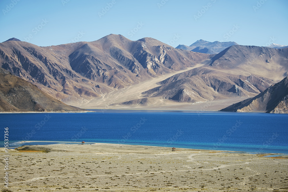 Pangong Lake Leh Ladakh ,India