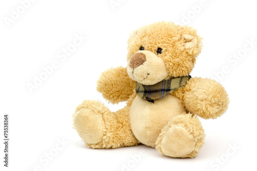 teddy bear on white background
