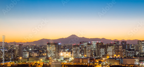 Canvas Print night view,Tokyo, Japan.