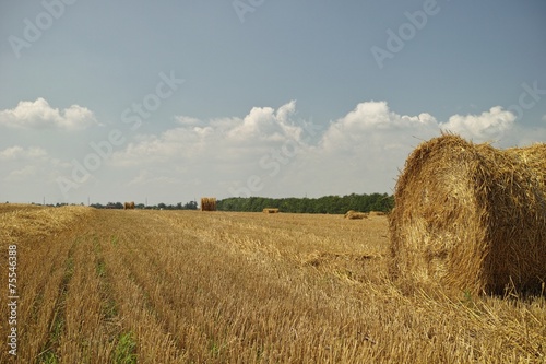 Εκτύπωση καμβά Bale of hay.