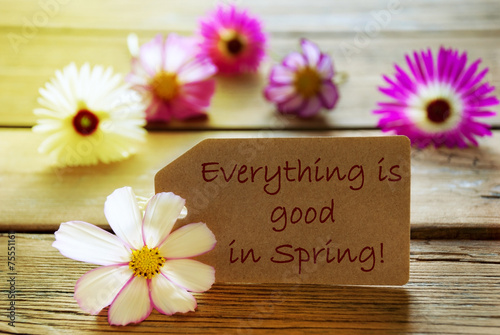 Sonniges Etikett mit Zitat Goode Spring Cosmea Blüten