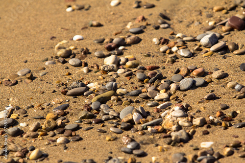 Sand and Shells