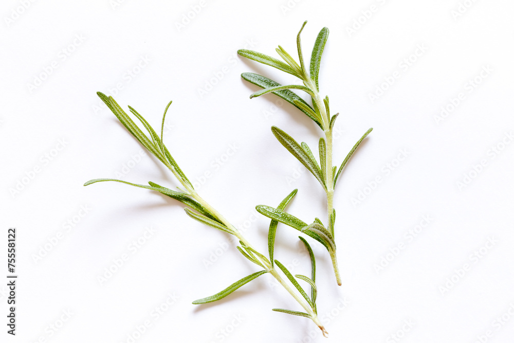 fresh rosemary