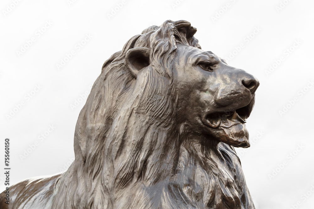 Bronze lion sculpture in on Trafalgar square, London Bronze lion sculpture in on Trafalgar square, London