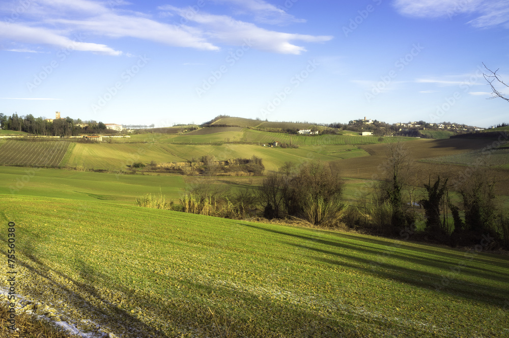 Monferrato early morning winter panorama. Color image
