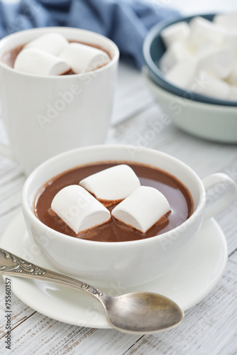 Mug with hot chocolate