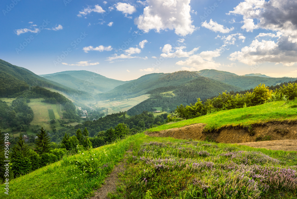 flowers on hillside meadow with forest in morning mountain flowers on hillside meadow with forest in morning mountain