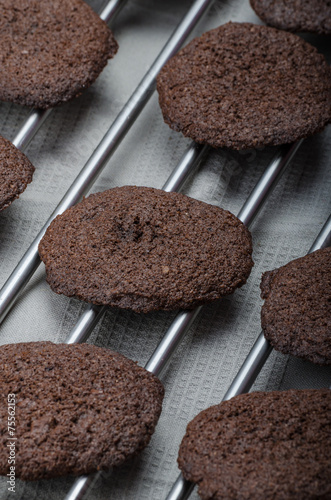 Dark chocolate biscuits photo