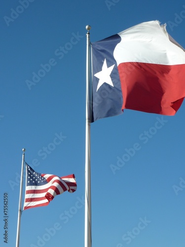 Texas and United States flags