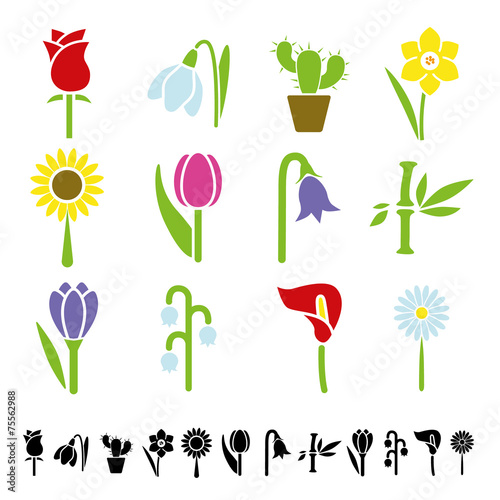 flower icons