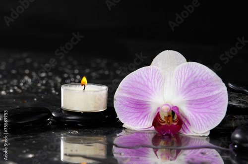 orchid with white candle and therapy stones reflection