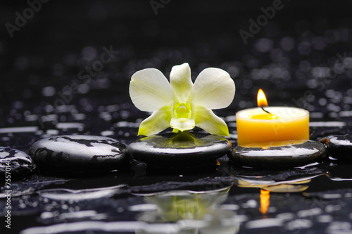orchid with candle and therapy stones reflection
