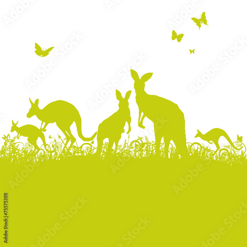 Springende Kängurus im Gras
