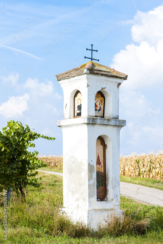 God's torture with vineyard, Southern Moravia, Czech Republic