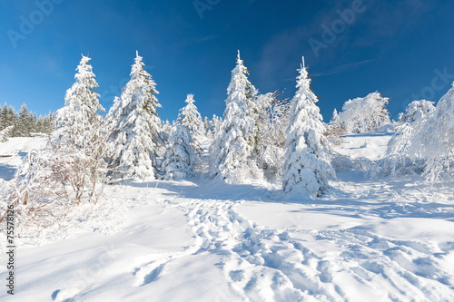 Verschneiter Schwarzwald © azureus70