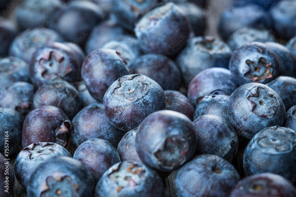 Fototapeta premium Blueberries background