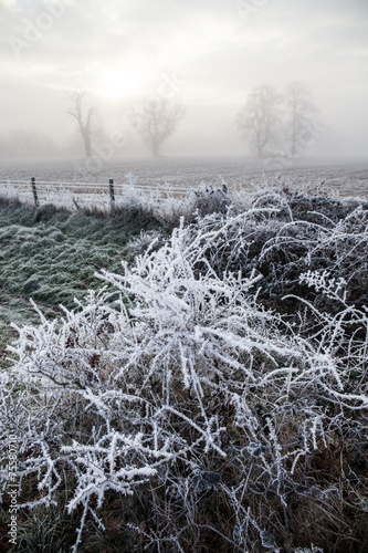 Hard frost over fields in the Berkshire countryside