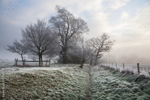 Hard frost over fields in the Berkshire countryside