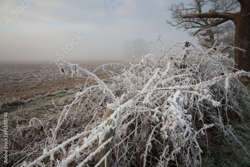 Hard frost over fields in the Berkshire countryside