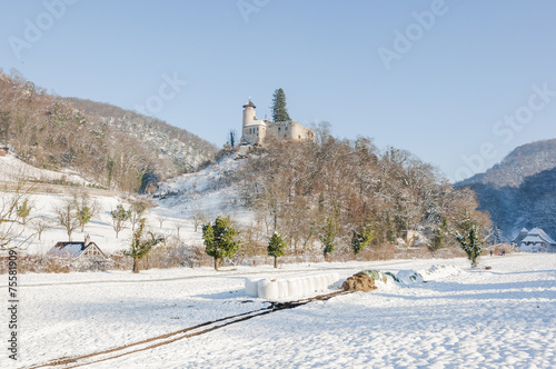 Arlesheim, Dorf, Birseck, Schloss, Baselland, Winter, Schweiz photo