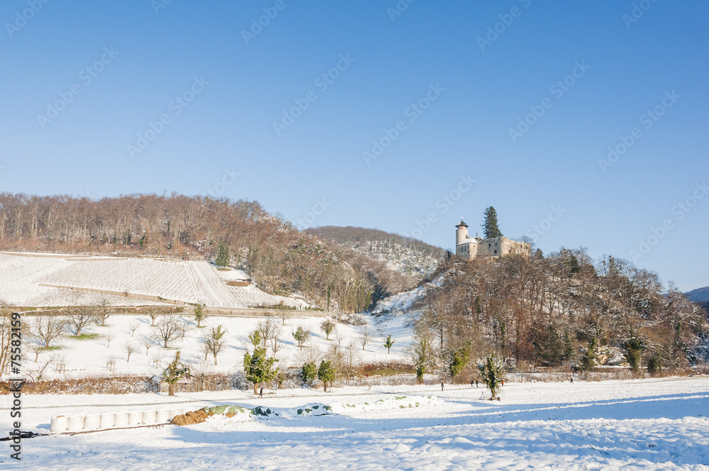 Arlesheim, Dorf, Weinberg, Schloss Birseck, Winter, Schweiz