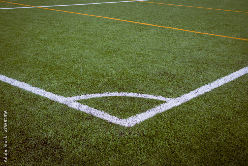 Obraz premium Soccer Field