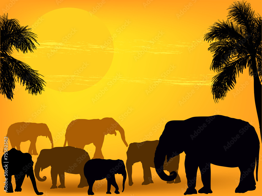 group of elephants in sand desert